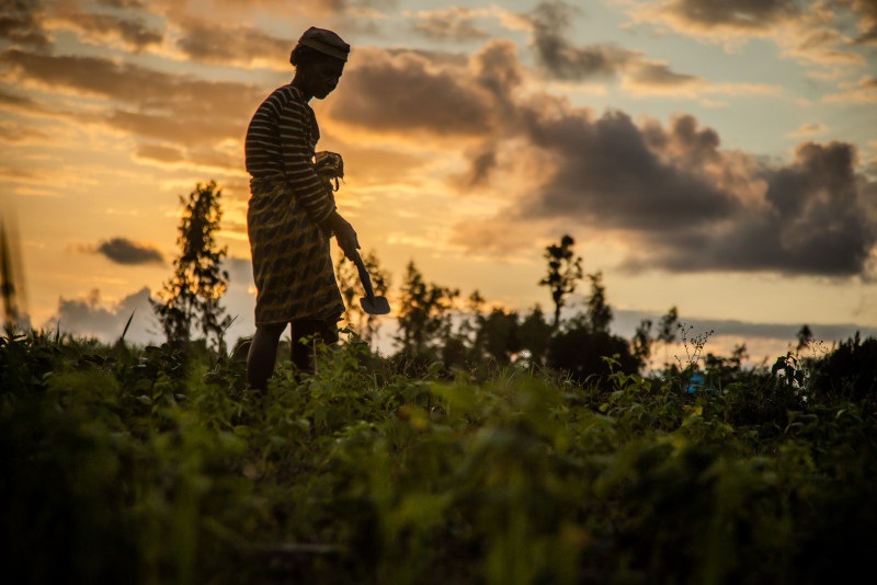 Côte d’Ivoire-AIP/ La BAD octroie $ 6 millions pour renforcer la gestion des risques de catastrophes en Afrique sur la période 2025-2026