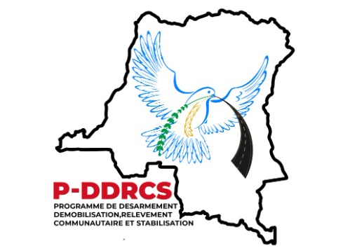 Côte d’Ivoire-AIP/Inter/ En RDC, un organisme gouvernemental appelle à promouvoir le développement intégral des enfants du Sud-Kivu