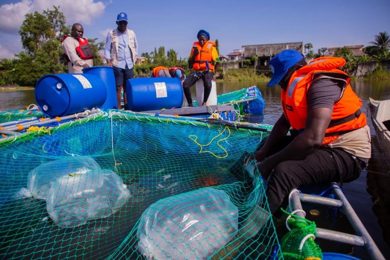 Côte d’Ivoire – AIP/Inter/ Gabon : vers une production locale d’aliments piscicoles pour renforcer la souveraineté alimentaire