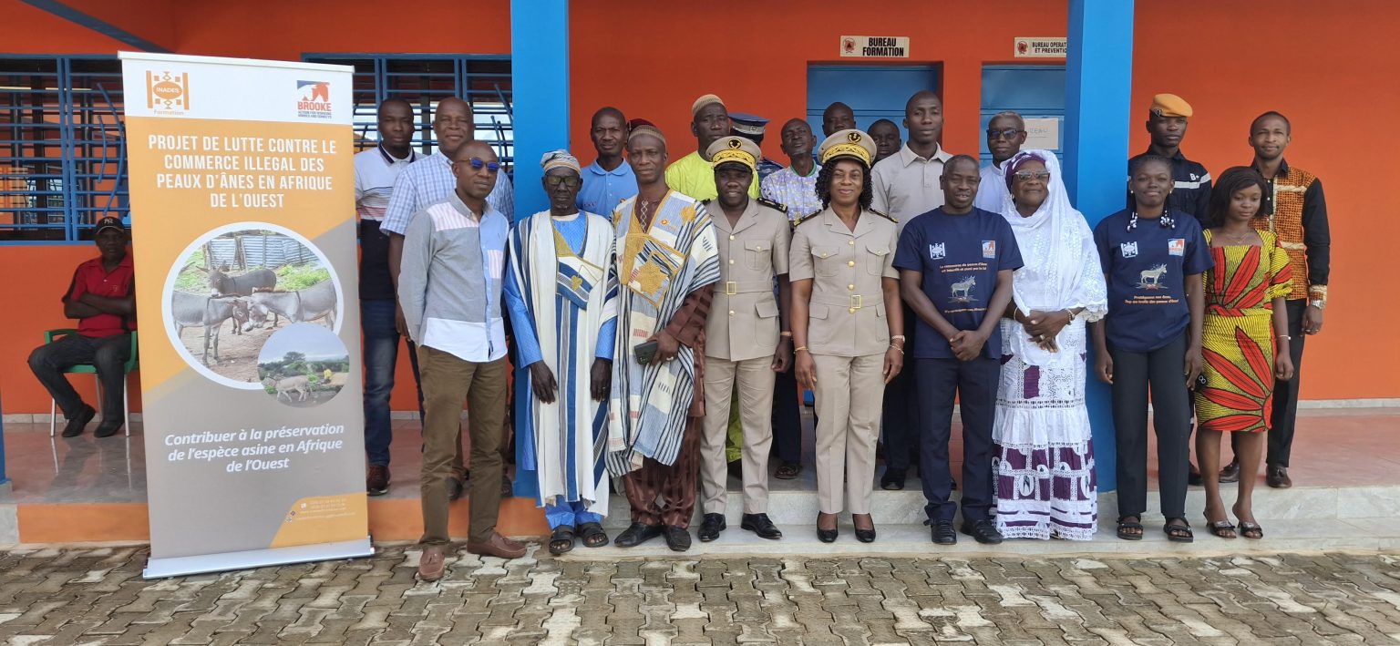 Côte d’Ivoire-AIP/ Les populations de Tengréla invitées à préserver les ânes par le respect du décret présidentiel sur la protection de l’espèce asine
