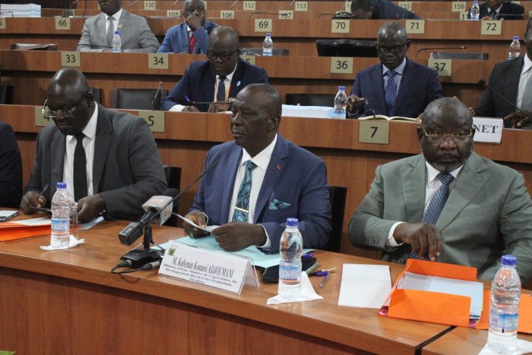 Côte d’Ivoire-AIP/ Budget 2026: le ministre d’État Adjoumani obtient l’aval des députés pour un montant de 333,878 milliards FCFA