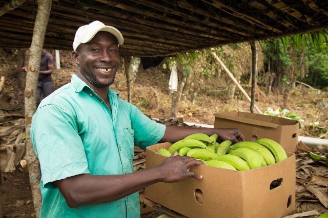 Côte d’Ivoire-AIP/Inter/ Changement climatique: la Banque mondiale alerte sur les risques pour l’emploi et appelle à des politiques favorisant des transitions justes