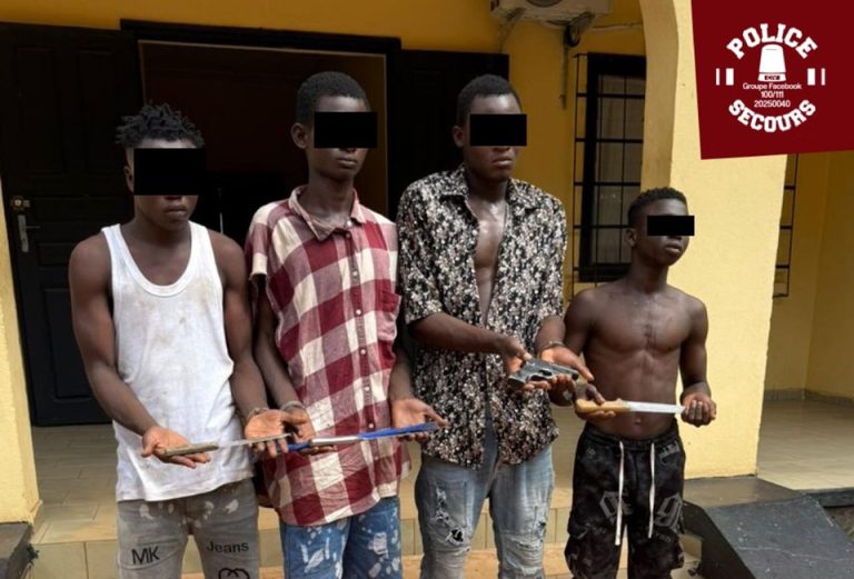 Côte d’Ivoire-AIP/ Un gang armé interpellé à Bakayoko 2 de Séguéla (Police)