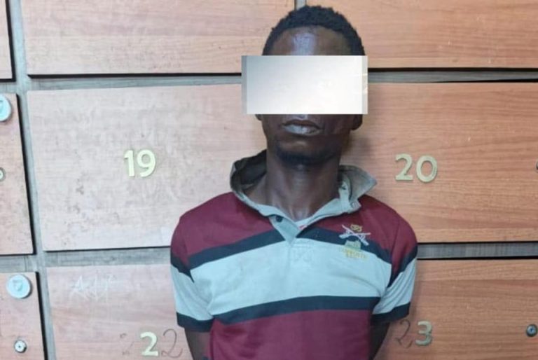 Côte d’Ivoire-AIP/ Un individu présumé auteur de plusieurs vols interpellé sur le boulevard Lagunaire au Plateau (DGPN)