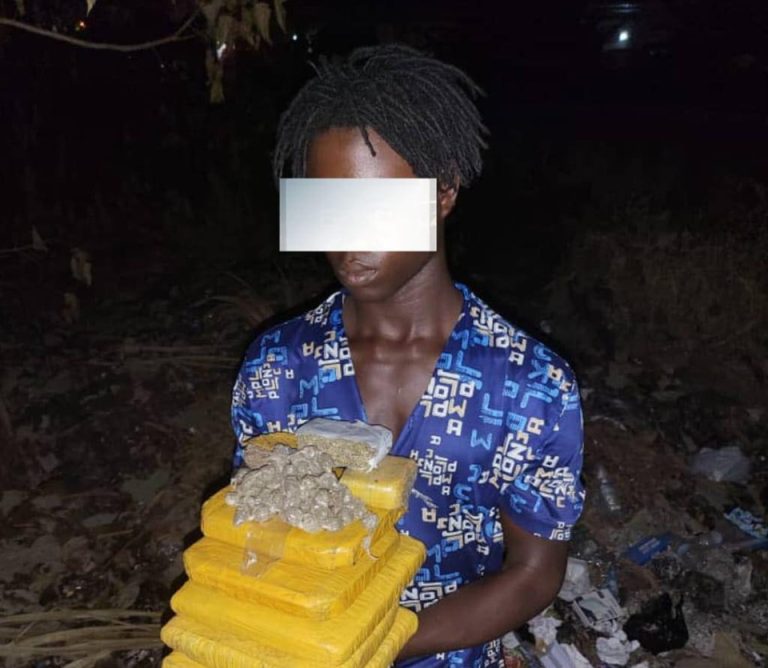 Côte d’Ivoire-AIP/ Un individu interpellé et 6 kg de cannabis saisis à Man (DGPN)