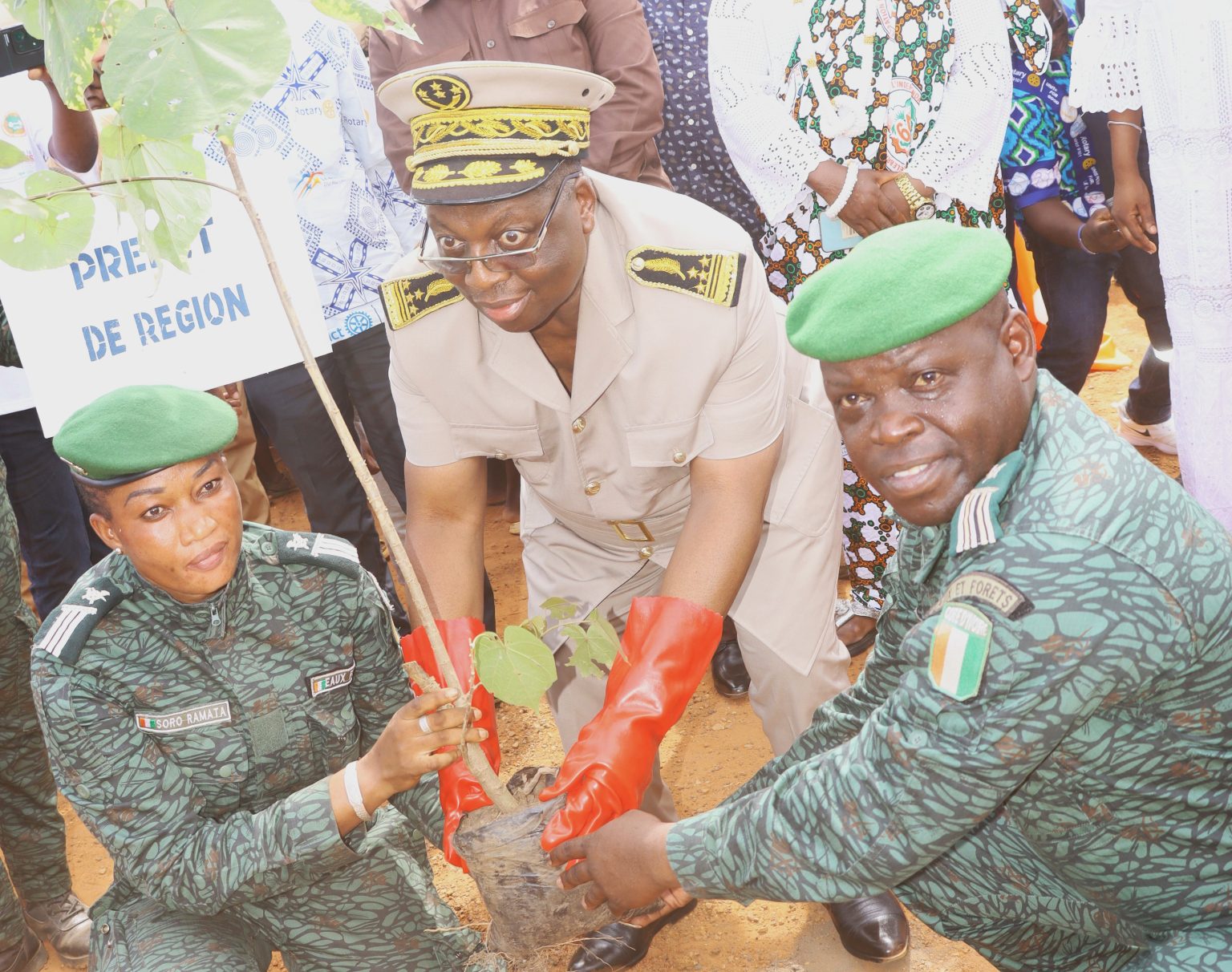Côte d’Ivoire – AIP /Les arbres au cœur de la JNP 2025 à Djangokro (Dimbokro)