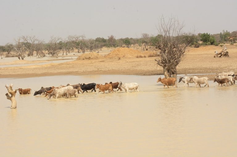 Côte d’Ivoire-AIP/Inter/ Le FAD accorde plus de $9 millions pour renforcer la résilience climatique des bassins versants sahéliens