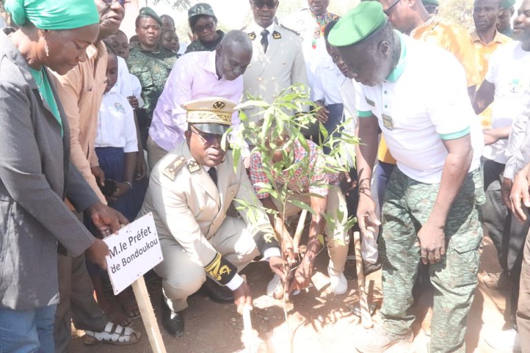 Côte d’Ivoire-AIP/ La communauté éducative de Bondoukou marque la Journée nationale de la paix par un planting d’arbres