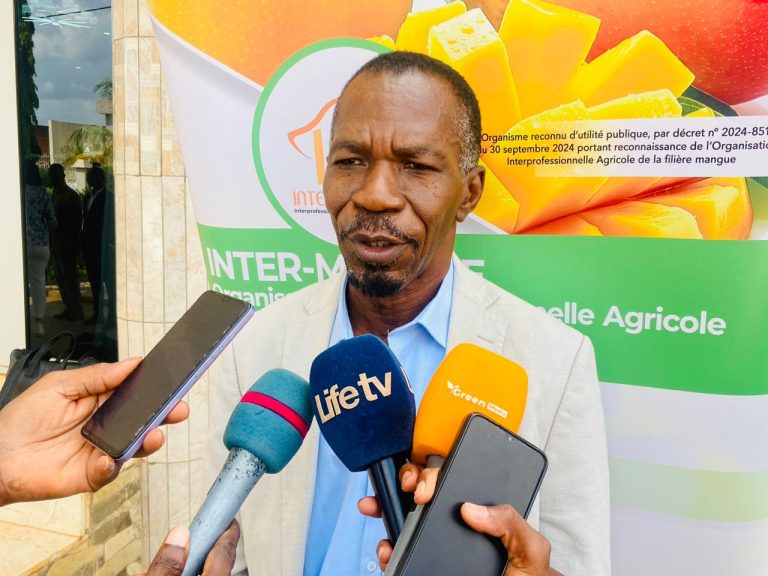 Côte d’Ivoire-AIP/ Filière mangue : Nembéléssini Silué Pascal confirmé pour conduire les chantiers structurants
