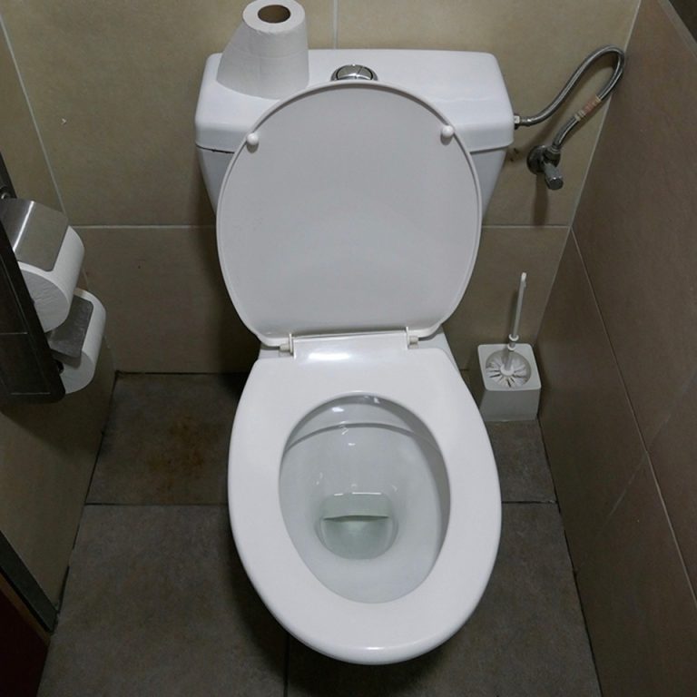 Côte d’Ivoire-AIP/ Fadiadougou accueille la 25e édition de la Journée mondiale des toilettes