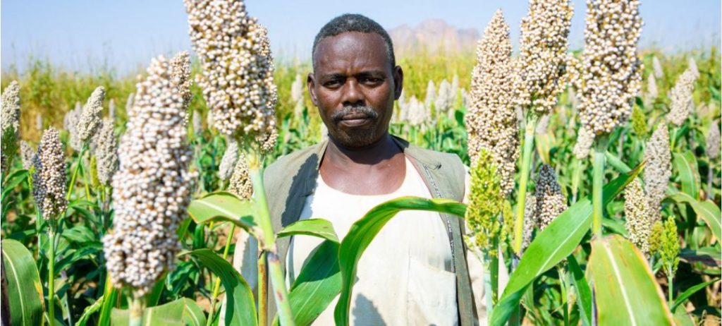 Côte d’Ivoire–AIP/Inter / Plus de 90 % des pays menacés par le déclin de leurs rendements agricoles en raison du changement climatique (ONU)