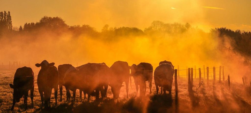 Côte d’Ivoire-AIP/Inter/ L’ONU appelle à “faire reculer la fièvre” de la planète à la veille de la COP30