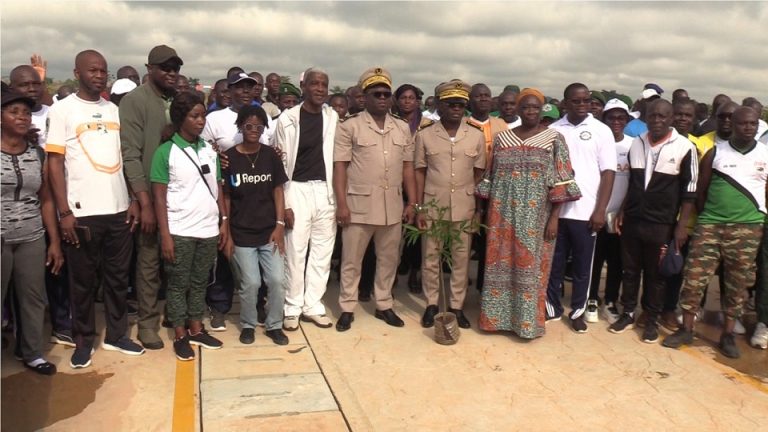Côte d’Ivoire-AIP/Journée nationale de la paix : six arbres symboliques plantés à Yamoussoukro
