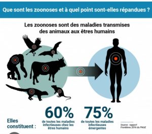Côte d'Ivoire-AIP/Inter/ Les zoonoses infectent environ un milliard et tuent des millions de personnes chaque année (Etude)