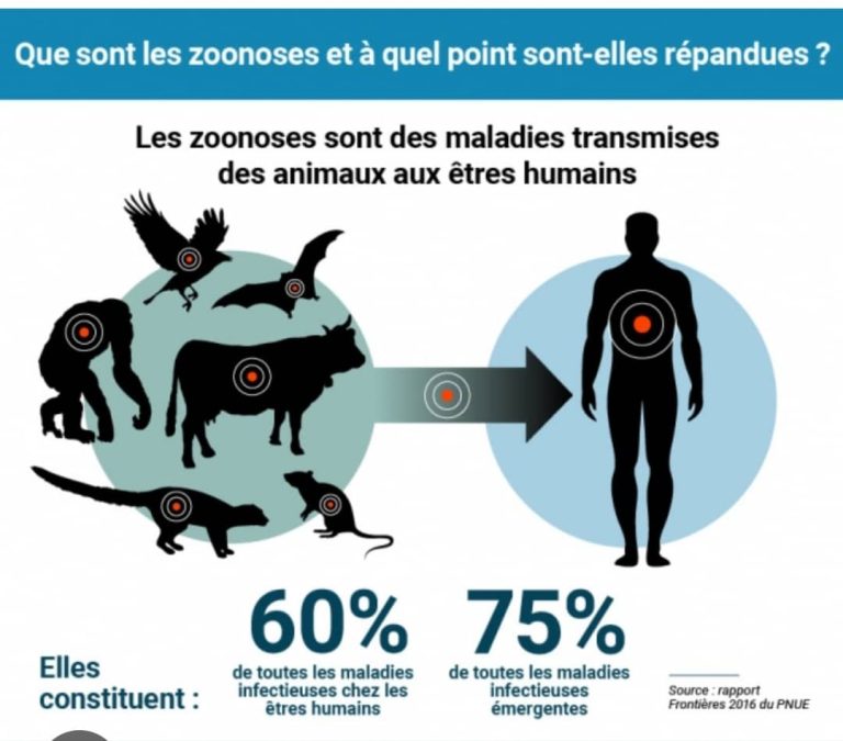 Côte d’Ivoire-AIP/Inter/ Les zoonoses infectent environ un milliard et tuent des millions de personnes chaque année (Etude)