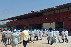 Côte d’Ivoire-AIP / Divo : une usine de cacao ouverte au public pour la découverte de ses produits et production