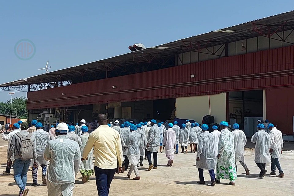 Côte d’Ivoire-AIP / Divo : une usine de cacao ouverte au public pour la découverte de ses produits et production