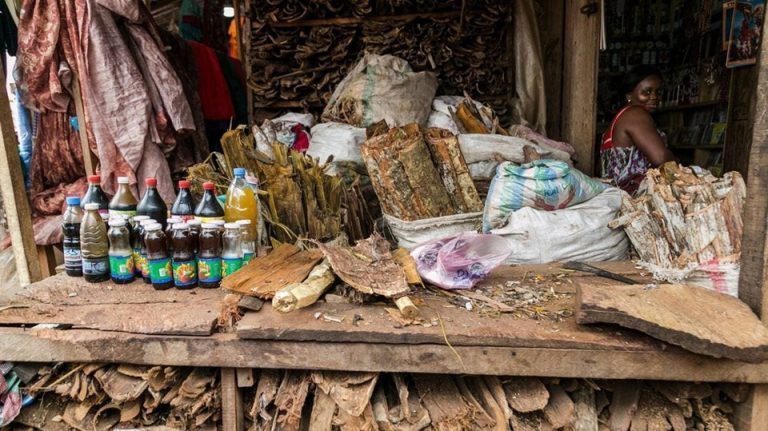 Côte d’Ivoire-AIP/Inter/ Médecine traditionnelle: l’OMS organise le 2e Sommet mondial pour promouvoir les données probantes et l’innovation