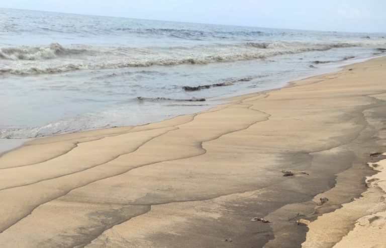 Côte d’Ivoire–AIP/ Le préfet de Grand-Bassam constate la pollution marine