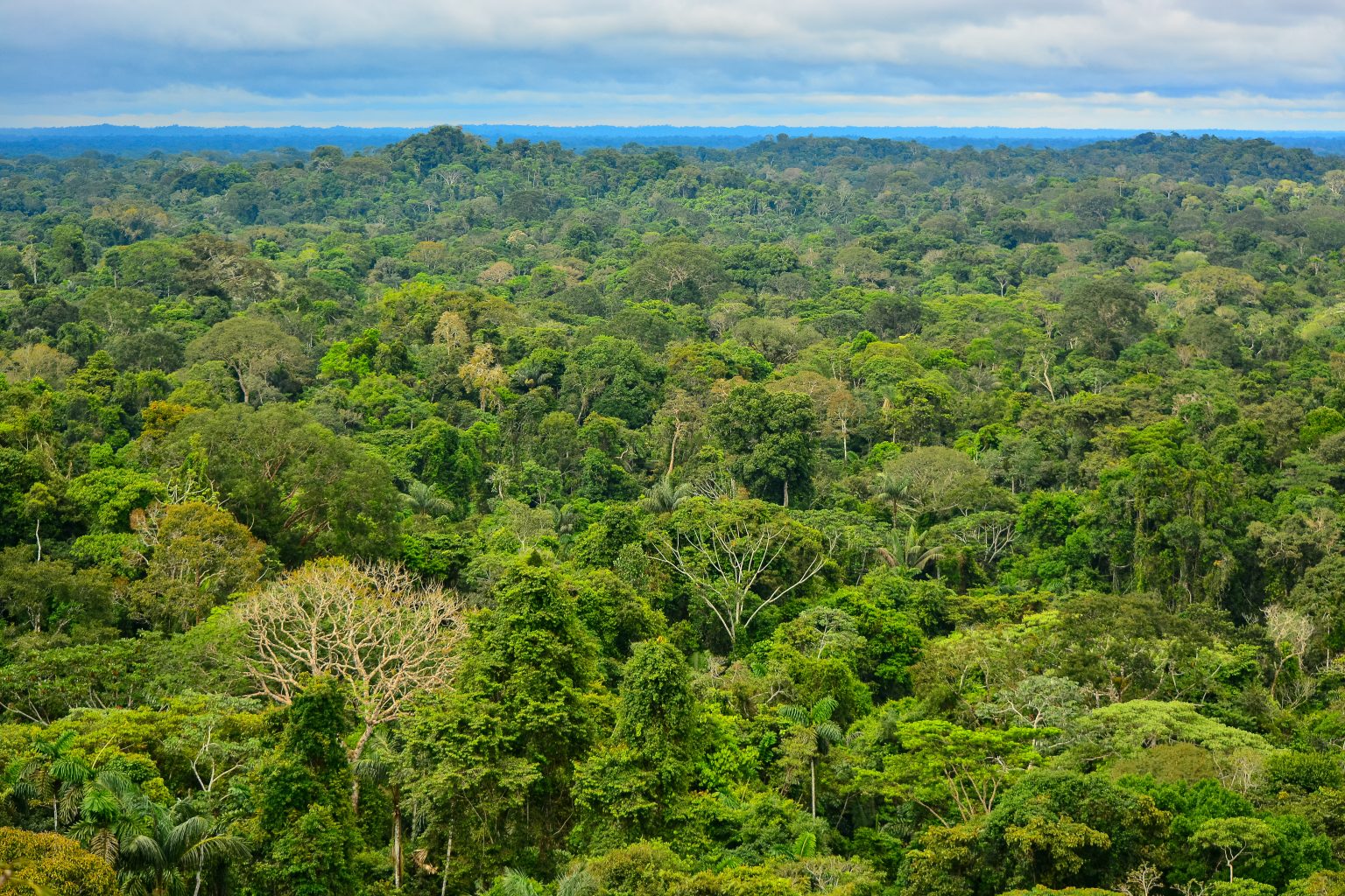 Côte d’Ivoire-AIP / Bondoukou : des acteurs agricoles formés à l’information climatique et aux pratiques climato-intelligentes