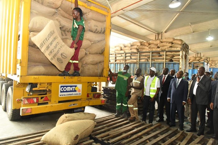 Côte d’Ivoire-AIP/ Le Conseil du Café-Cacao lance une opération d’accélération de la commercialisation du cacao pour la campagne 2025-2026