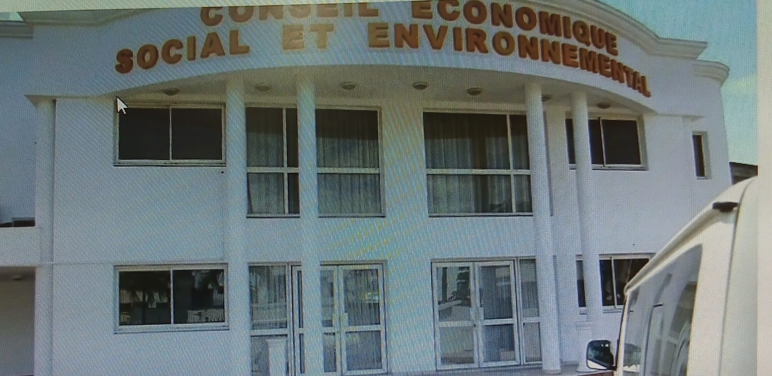Côte d’Ivoire-AIP/Inter/ Gabon: Suite à la suspension des taxes sur certains produits alimentaires, le CESEC exhorte le gouvernement à la vigilance