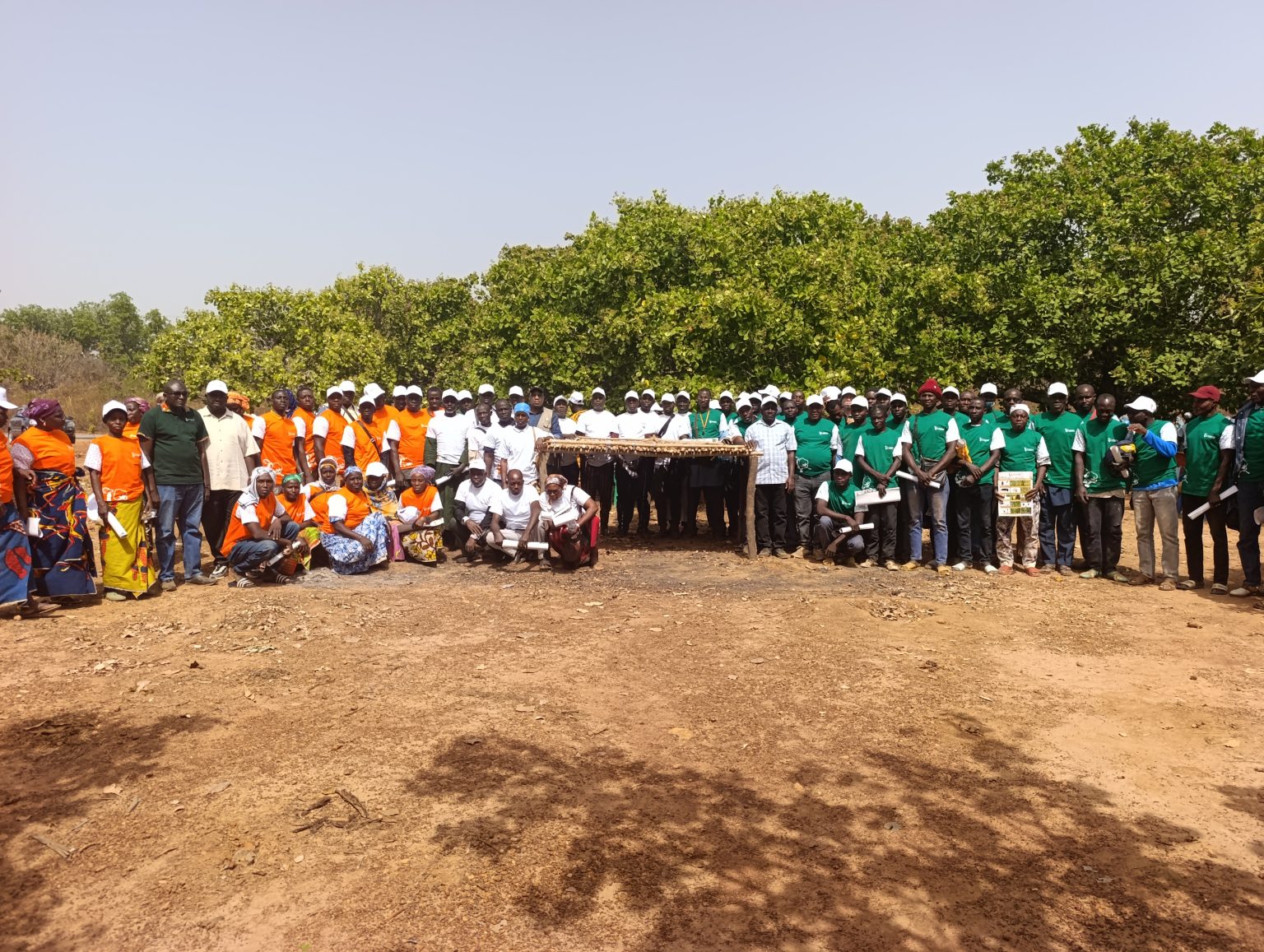 Côte d’Ivoire-AIP/ Les acteurs de la filière anacarde de Boundiali instruits sur les bonnes pratiques de production