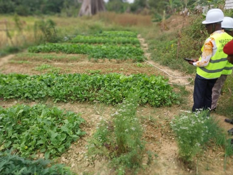 Côte d’Ivoire-AIP /Le préfet de Koun-Fao veille à la régénération des terres après l’exploitation minière à Boffouékro