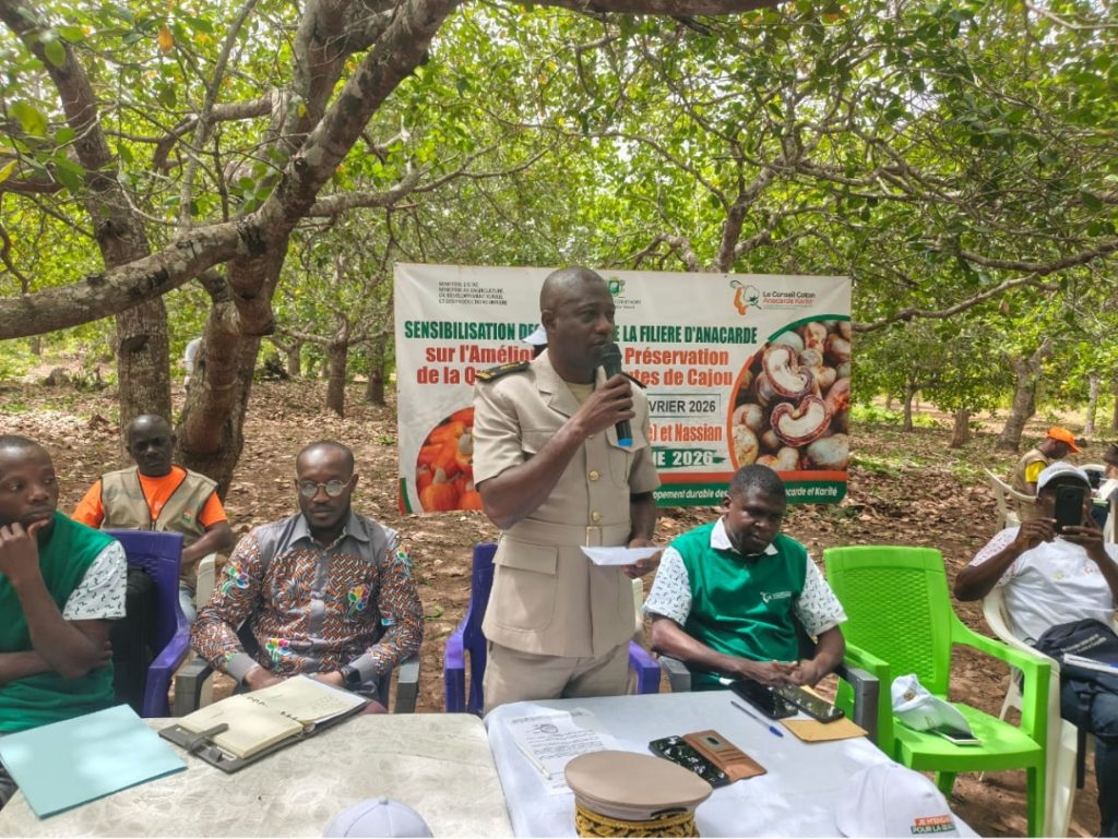 Côte d’Ivoire-AIP/ Anacarde : le sous-préfet de Nassian mise sur la traçabilité et la structuration locale pour optimiser les retombées économiques