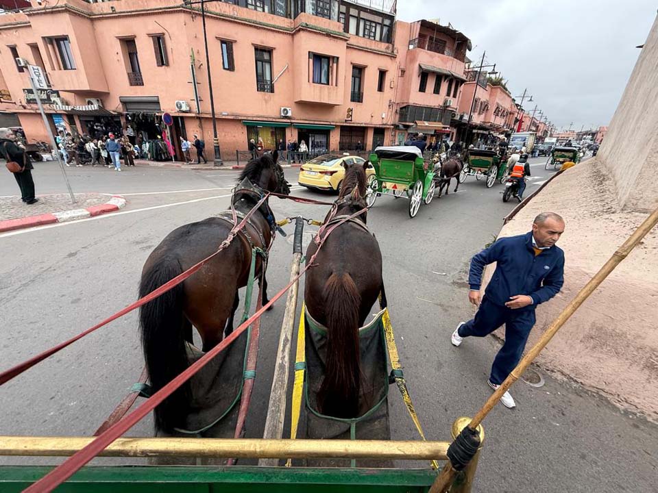 promenade Marrakech Maroc-19