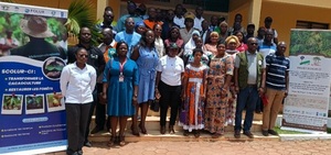 Côte d’Ivoire-AIP/Le Cavally teste un financement innovant dans la filière cacao pour l’agroforesterie