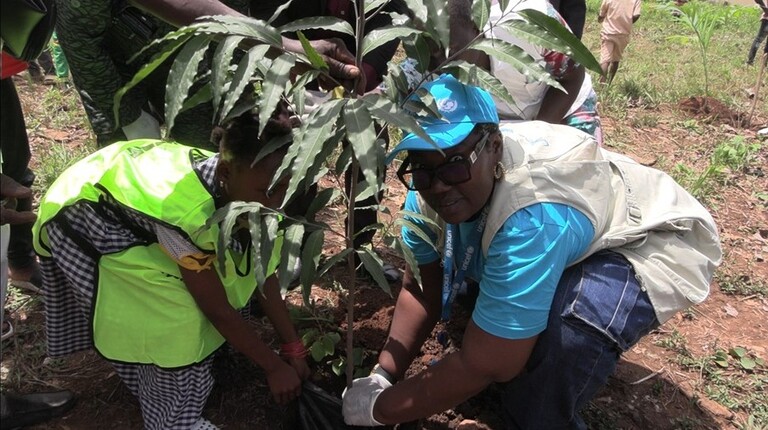 Côte d’Ivoire-AIP/ Une campagne de plantation d’arbres dans 20 écoles officiellement lancée à l’EPP Siakasso