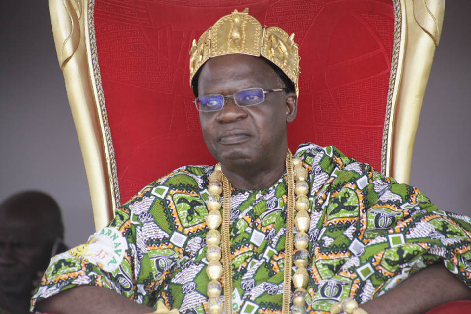 popo-carnaval-de-Bonoua8