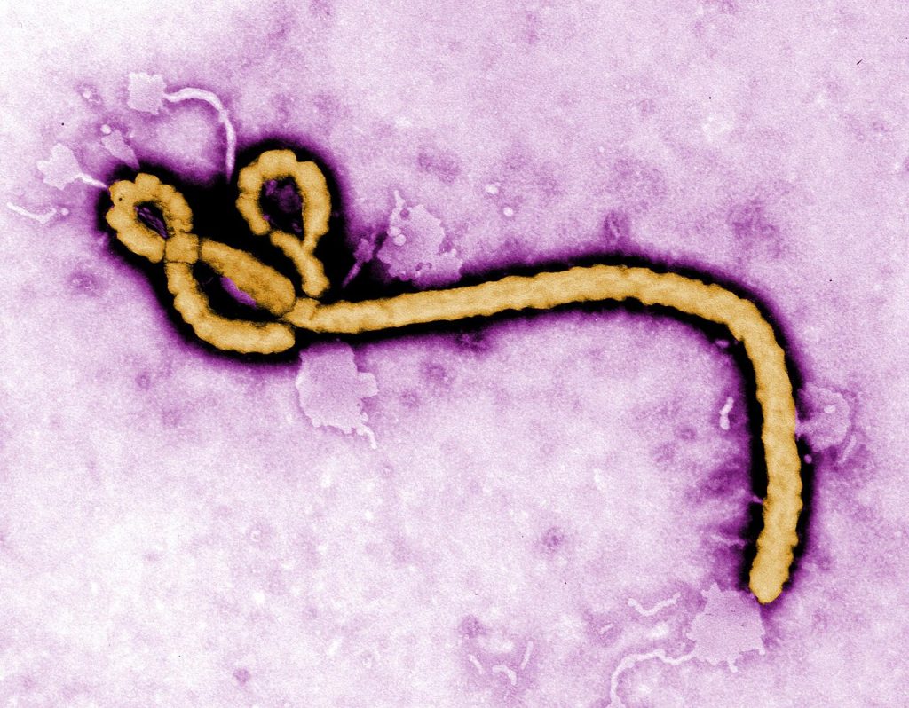 Côte d’Ivoire-AIP/ Inter/ Ebola : l’Africa CDC veut développer un vaccin contre la souche Bundibugyo d’ici fin 2026