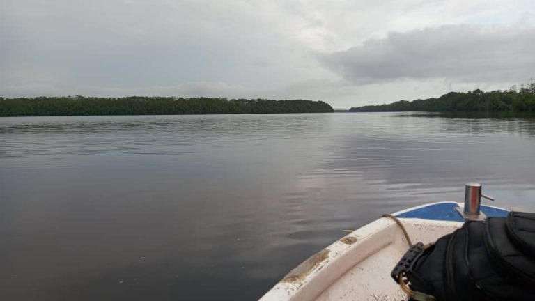 Côte d’Ivoire-AIP/ La présence des arbustes et des crocodiles accentue la difficulté de navigation sur la lagune Tagba