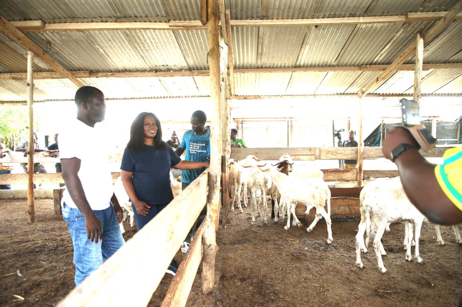 Côte d’Ivoire-AIP/ Tabaski 2026 : le CNLVC mise sur une consommation locale pour valoriser l’élevage de mouton