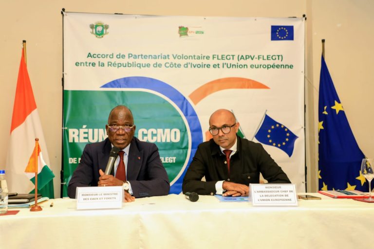 AIP/ Traçabilité du bois: la Côte d’Ivoire et l’Union européenne visent les premières autorisations FLEGT en 2029