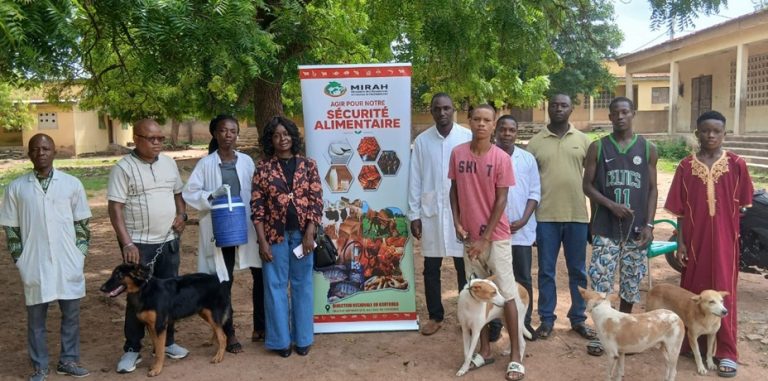 Côte d’Ivoire – AIP / Bondoukou : une campagne gratuite de vaccination contre la rage lancée à Donzosso après la confirmation d’un cas