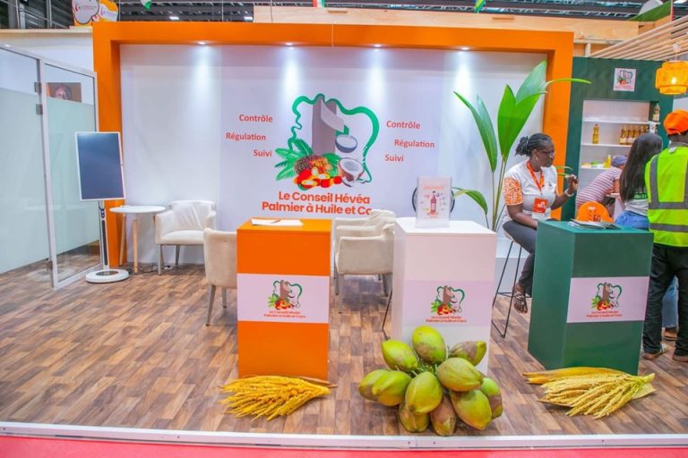 Côte d’Ivoire-AIP/ Filière coco: le CHPC annonce une mission nationale pour préparer la création de l’interprofession agricole