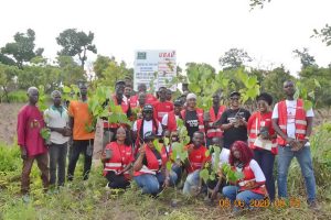 Côte d’Ivoire-AIP/ La fondation UBA reboise plus de trois hectares dans la forêt classée d’Akouma à Bouaké