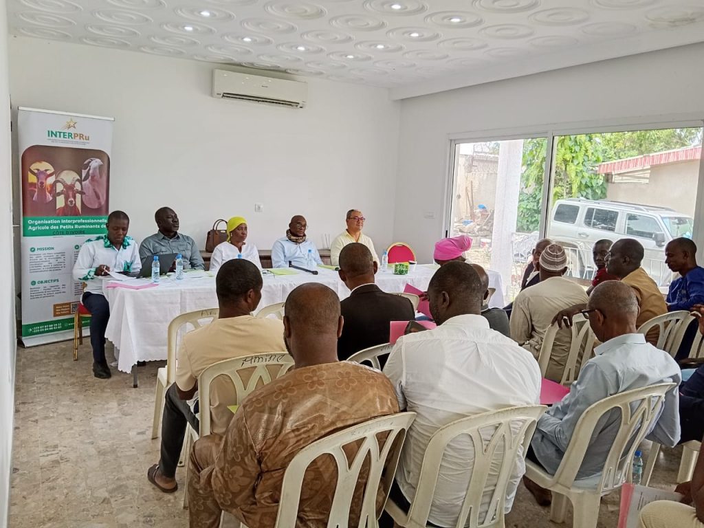 Côte d’Ivoire-AIP/ Filière des petits ruminants : l’INTERPRU réaffirme son engagement pour la modernisation de l’élevage ovin et caprin