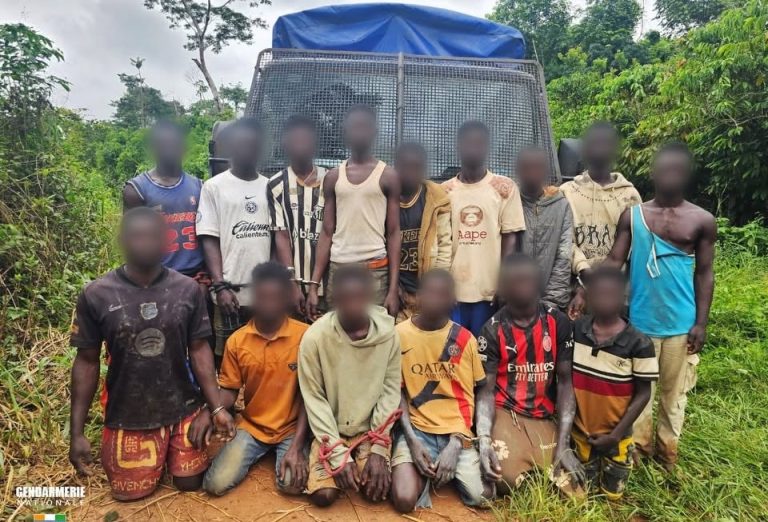 Côte d’Ivoire-AIP/ La gendarmerie interpelle 20 individus à Issia pour orpaillage illégal