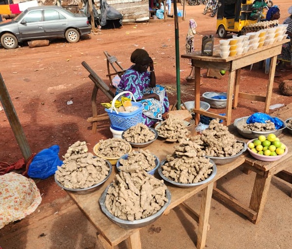 Côte d’Ivoire-AIP / La reprise de la commercialisation du gingembre relance les perspectives de développement de la filière à Koun-Fao