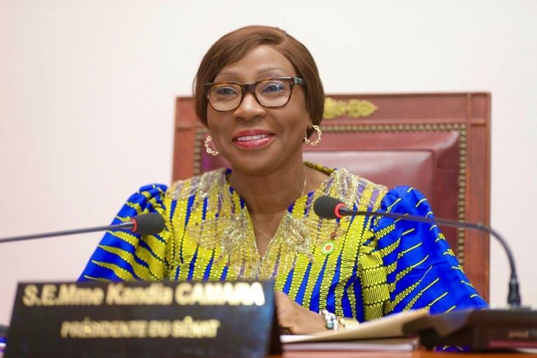 Côte d’Ivoire-AIP / Onze projets de loi adoptés en séance plénière au Sénat à Yamoussoukro