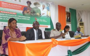 Côte d’Ivoire – AIP / Filière coco : les acteurs du Haut-Sassandra invités à adhérer au processus de création de l’interprofession