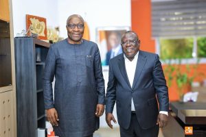 Côte d'Ivoire-AIP/ Le RHDP et le NDI réaffirment leur partenariat pour le renforcement des capacités et la bonne gouvernance