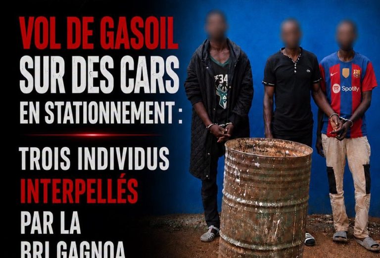 Côte d’Ivoire-AIP/ Trois individus déférés pour vol de gasoil sur des cars en stationnement à Gagnoa