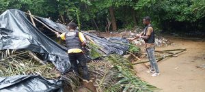 Côte d'Ivoire-AIP/ Deux fumoirs détruits et plus de six kilogrammes de drogue saisis par la police à Yopougon (DGPN)