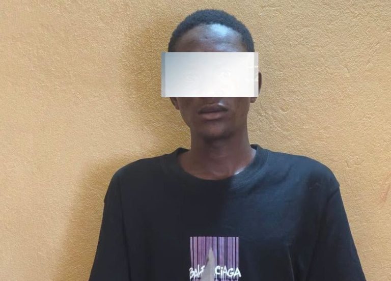 Côte d’Ivoire-AIP/ Un mineur interpellé pour une agression à main armée à Séguéla