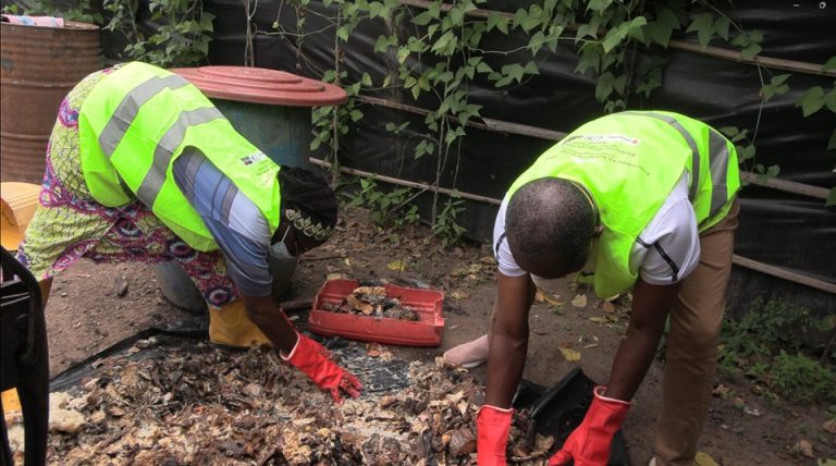 Côte d’Ivoire-AIP / Quand les déchets alimentaires se muent en richesse à Massala (Reportage)